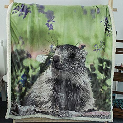 YOUSA 3D Squirrel Throw Blanket Squirrel Print Bed Blankets 51''63''