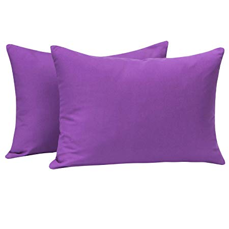 NTBAY Microfiber Toddler Pillowcases, 2 Pcs Zipper Closure Travel Pillow Covers, 13 x 18, Purple