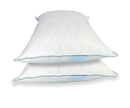 2 Pack 300 TC Sealy Posturepedic LiquiLoft Gel Support Pillow - Hypoallergenic Set of 2 Standard Size Pillows