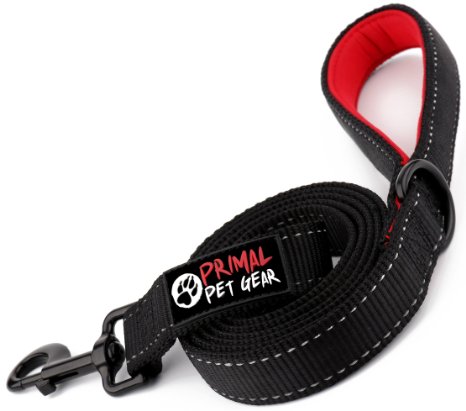 Dog Leash - Extra Heavy Duty - Thick 3mm Nylon - 6ft Long - Premium Quality - 1 Wide - Reflective - Padded Handle - Perfect for Large - Medium or Strong Small Dogs - Lightweight