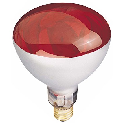 Globe Electric 03917 250-watt R40 Incandescent Heat Lamp Light Bulb, E26 Base, Red