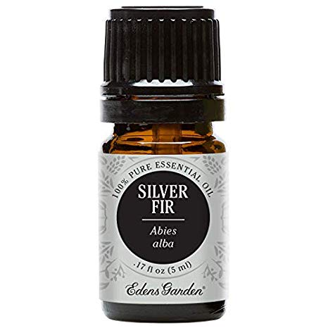 Edens Garden Silver Fir Essential Oil, 100% Pure Therapeutic Grade (Highest Quality Aromatherapy Oils- Headaches & Weight Loss), 5 ml