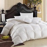 LUXURIOUS Queen Size Siberian GOOSE DOWN Comforter 600 Thread Count 100 Egyptian Cotton Cover Solid White Color 750 Fill Power 60 Oz Fill Weight All Season Down Comforter