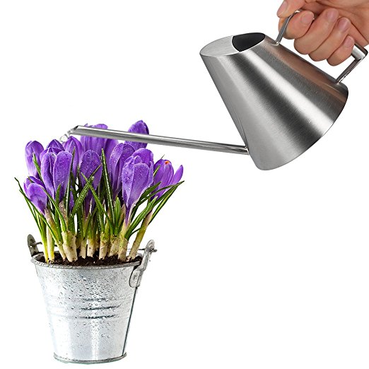 Fasmov 13.5 Oz Stainless Steel Watering Can Modern Style Watering Pot