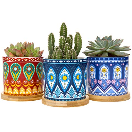 Mkono Succulent Plant Pots, 3 Inch Mandalas Ceramic Succulent Planter with Drainage Hole and Bamboo Trays for Cactus Cuttings Tiny Herb Plant Cute Gift Idea, Set of 3 (Plants NOT Included)