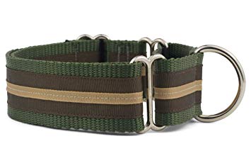 If It Barks - 1.5" Martingale Collar for Dogs - Stripe Design - Adjustable - Strong and Comfy Nylon - Ideal for Training - Made in USA