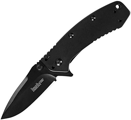 Kershaw Cryo II Framelock Black Knife