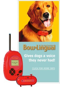 Bow Lingual Bark Translator
