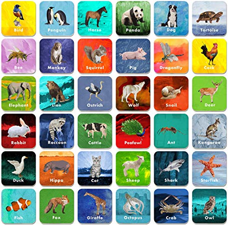36 Pair Animal Matching Game Flash Cards Erasable (Each Measures 2” X 2”)