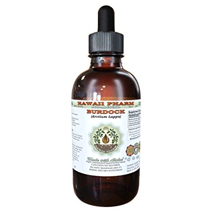 Burdock Alcohol-FREE Liquid Extract, Organic Burdock (Arctium Lappa) Dried Root Glycerite Hawaii Pharm Natural Herbal Supplement 2 oz