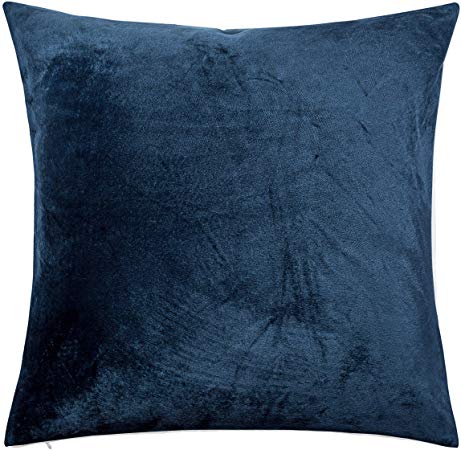 NTBAY Zippered Velvet Square Throw Pillow Cover, Super Soft and Luxury Decorative Euro Pillowcase, 26 x 26 Inches, Navy Blue