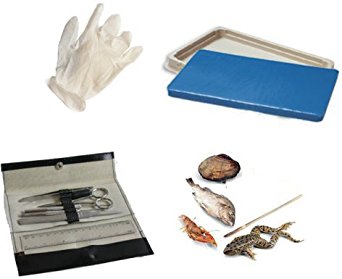 Student Dissection Kit