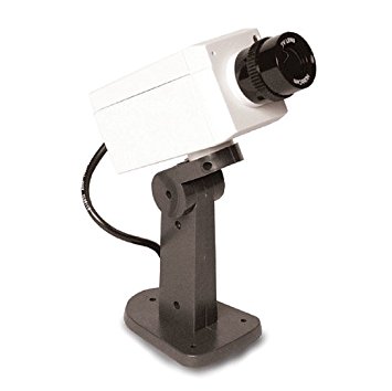 Motion-activated Imitation Video Surveillance Camera