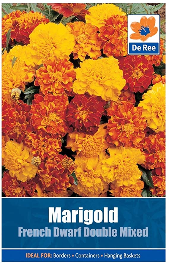 Marigold French Dwarf Double Seeds