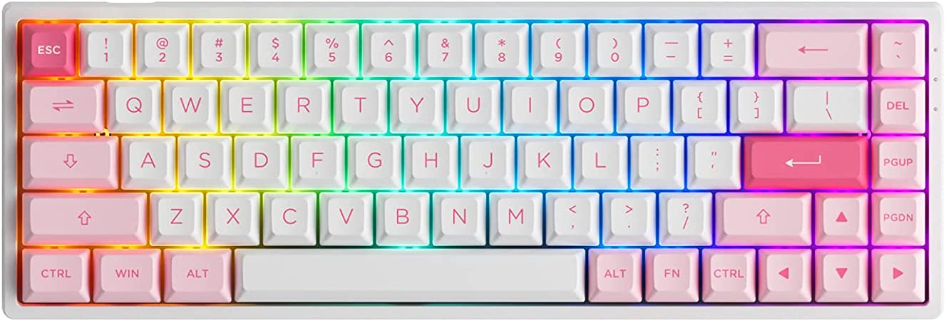 Akko Prunus Lannesiana 65% 3068B 68-Key RGB Hot-swappable Mechanical Gaming Keyboard, 2.4G Wireless/Bluetooth/Wired with PBT Double-Shot Keycaps for Mac & Win (Akko Jelly Pink Switches)