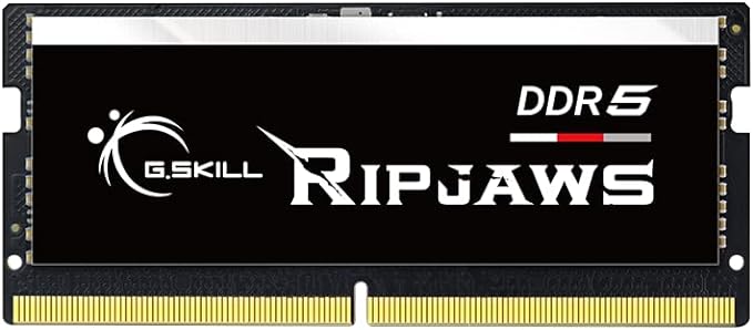 G.SKILL Ripjaws DDR5 SO-DIMM Series DDR5 RAM 32GB (1x32GB) 4800MT/s CL40-39-39-76 1.10V Unbuffered Non-ECC Notebook/Laptop Memory SODIMM (F5-4800S4039A32GA1-RS)