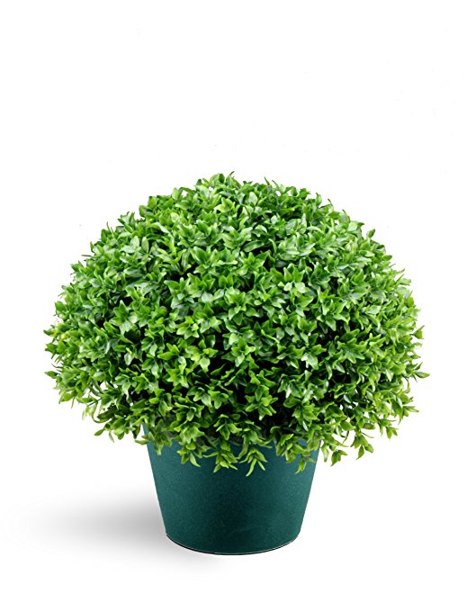 National Tree 13 Inch Globe Japanese Holly Bush in Dark Green Round Plastic Pot (LJB4-13-1)