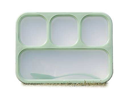 Lunch Box Bento Box - Fashion Rectangle Grid Lea-proof Food Container for Adults & Kids - 1000 ml 3 or 4 Compartments with a Spoon - BPA-free Microwave-safe Boxes (Green)