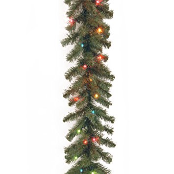 National Tree 9 Foot by 10 Inch Kincaid Spruce Garland with 50 Multicolored Lights (KCDR-9BRLO-1)