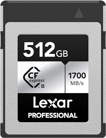 Lexar 512GB Professional Silver SE CFexpress Type B Memory Card, for Photographers, Videographers, Up to 1700/1250 MB/s, 8K Video (LCXEXSE512G-RNENU)