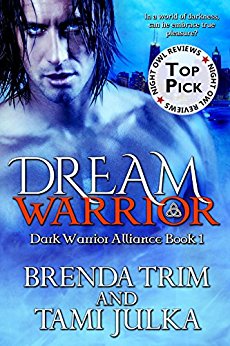 Dream Warrior: (Dark Warrior Alliance Book 1)