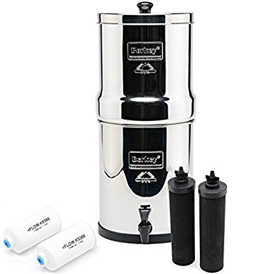 Big Berkey BK4X2 Countertop Water Filter System with 2 Black Berkey Elements and 2 Fluoride Filters by Berkey