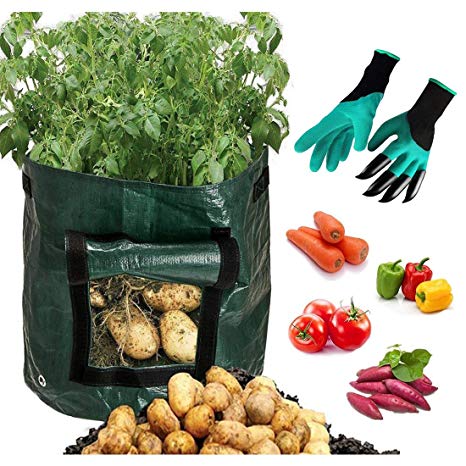 Mumu Sugar Potato Grow Bags with Garden Gloves,2 Pack 10 Gallon Vegetables Planter Bags with Access Flap, Raised Garden Bed Heavy Duty Suitable for Planting Vegetables, Taro, Radish, Carrots, Onions