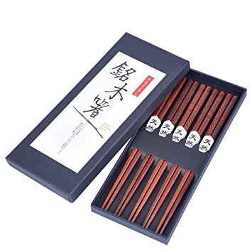 Antner 5 Pair Hardwood Chopsticks Hand-Carved Chopsticks with Gift Box