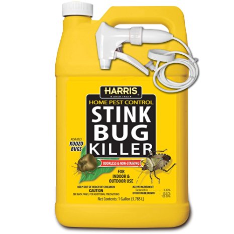 P F HARRIS STINK-128 Stink Bug Killer, 1 gallon