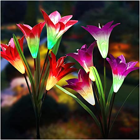 Solar Lights Outdoor - New Upgraded Solar Garden Stake Lights, Multi-Color Auto-Changing 8 Bigger Lily Flower Decorative Lights for Garden,Patio,Backyard (2 Pack,Purple&Red)