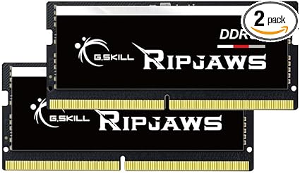 G.SKILL Ripjaws DDR5 SO-DIMM Series DDR5 RAM 64GB (2x32GB) 4800MT/s CL38-38-38-76 1.10V Unbuffered Non-ECC Notebook/Laptop Memory SODIMM (F5-4800S3838A32GA2-RS)