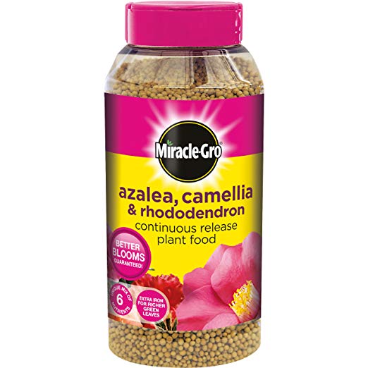 Miracle-Gro Azalea, Camellia and Rhododendron Continuous Release Plant Food 1 kg