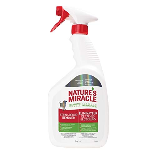 Nature's Miracle Stain & Odor Remover Just for Dogs, Pet Stain Eliminator, 946mL