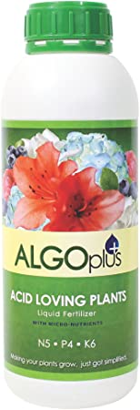 AlgoPlus Acid Loving Plant Formula