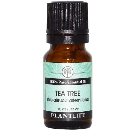 Tea Tree 100 Pure Essential Oil - 10 ml