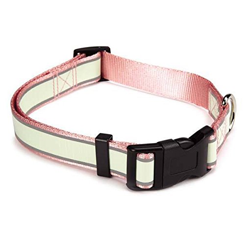 Dog Collar Glow Refletive Durable Safety For Night Walks - Choose Size & Color