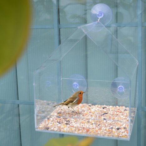 PetsNall Clear Window Squirrel-Proof Rain-Resistant Songbird House Bird Feeder