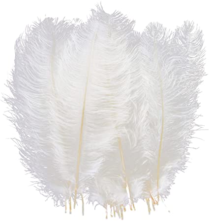 AWAYTR 10pcs Natural Ostrich Feathers for Wedding Centerpieces Home Decoration (8-10 inch, White)