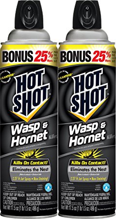 Hot Shot Wasp & Hornet Killer3 (Aerosol) (HG-23416) (17.5-ounce, 2-pack)