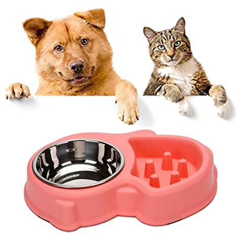 Slow Feeder Cat Bowl and Stainless Steel Dog Bowl for Feeding and Watering Interactive Bloat Stop Pet Bowl