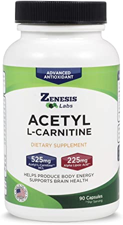 Acetyl L-Carnitine with Alpha Lipoic Acid - for Brain Health & Fat Loss - 90 Capsules