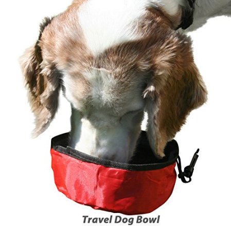 Slurps Travel Dog Bowl. Walking, Hiking! Running! Car Trips! Playtime! Easy To Carry! Easy To Use! "Slurps! It's the Way Dogs Drink!" Safe Non-Toxic Liner. Limited Time Sale Offer!