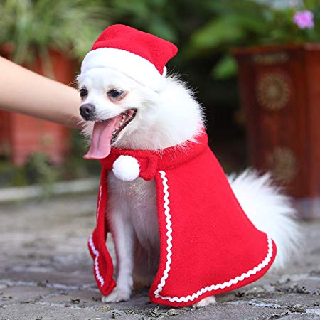 JuguHoovi Christmas Pet Clothes Costumes Cloak Hat for Small Dog and Cat Santa Dog Cat Costume Teddy Dog Coat Hat Christmas Pet Dress Cap Coat Winter Pet Clothes Set