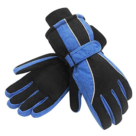 Terra Hiker Waterproof Microfiber Winter Ski Gloves Thinsulate Insulation for Women (Blue S)