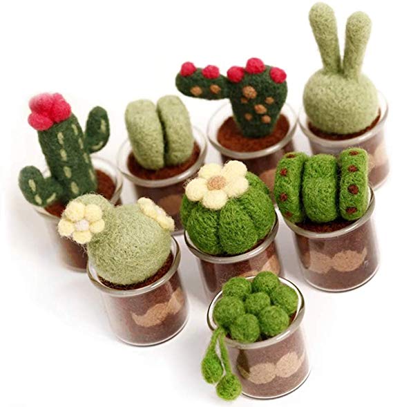 Full Range of Needle Felting Kit, Kissbuty Cactus Wool Felted Set for Adults and Beginners Including Wool Roving for 8 Succulents, Foam Mat, Glass Pots, Needles, Finger Guards Tools Kit