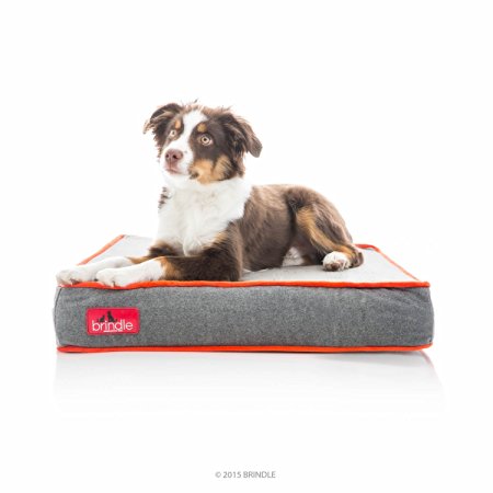 BRINDLE Waterproof Designer Memory Foam Pet Bed
