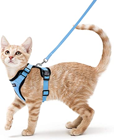 rabbitgoo Cat Harness and Leash for Walking, Escape Proof Soft Adjustable Vest Harnesses for Small Medium Cats, Easy Control Breathable Reflective Strips Jacket, Light Blue, S(Chest: 18"-20")