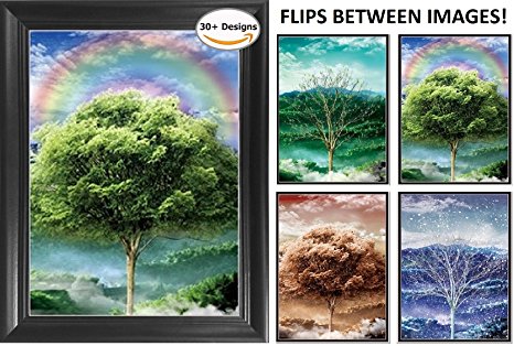 Four Seasons Framed 3D Lenticular Picture - 14.5x18.5" - Unbelievable Life Like 3D Art - Changes between different images! - 3D Posters, Art Deco, Unique Wall Art Decor, With Dozens to Choose From!