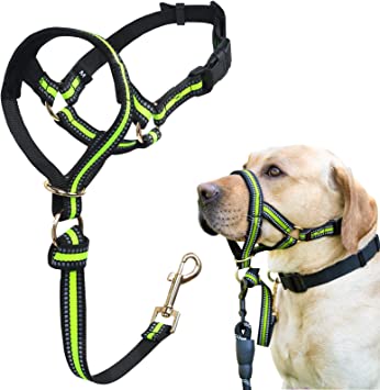 Dog Head Collar, No Pull Stylish Head Halter for Heavy Pullers, Gentle Dog Face Harness Stops Pet Pulling and Choking on Walks for Medium Large Aggressive Dogs