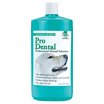 ProDental Solution Pet Toothbrushes and Toothpastes